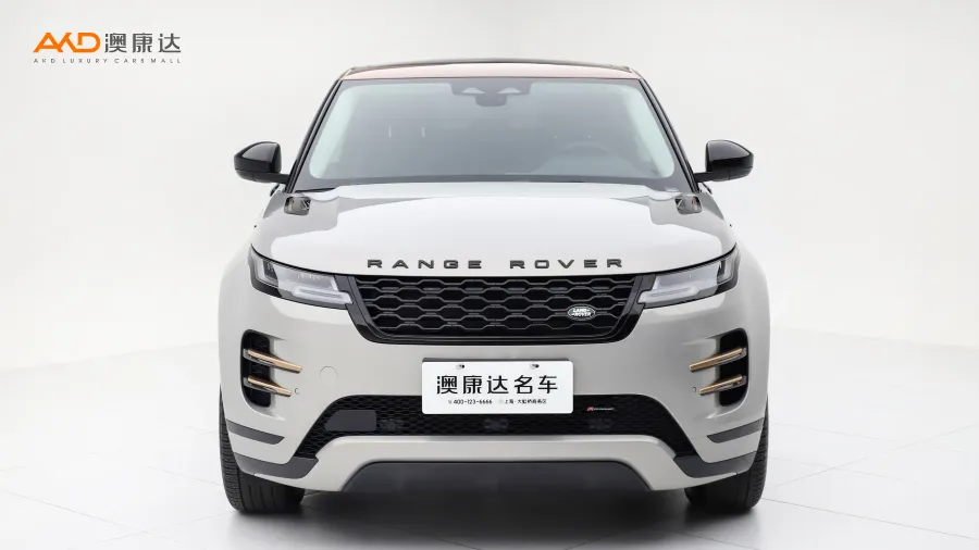 二手极光L 249PS R- Dynamic 科林斯古铜特别版图片3839670
