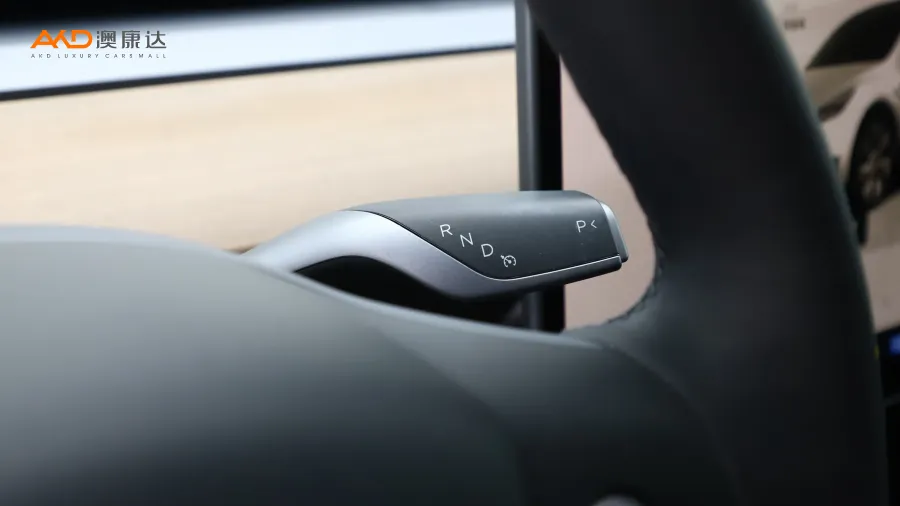 二手特斯拉Model Y 长续航全轮驱动版图片3839572