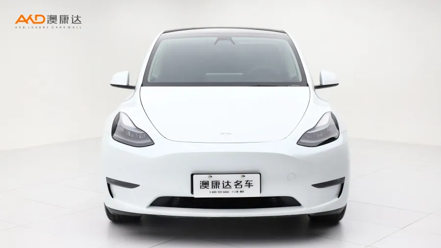 二手特斯拉Model Y 长续航全轮驱动版图片3839561