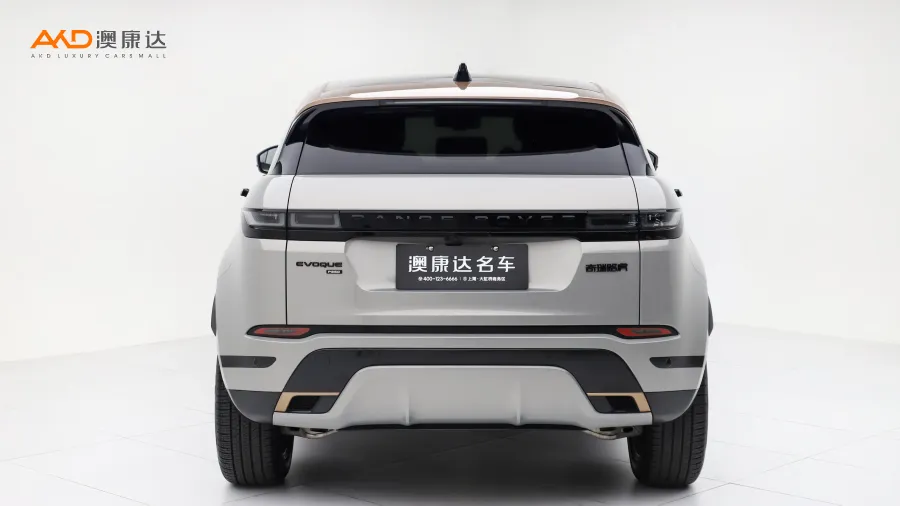 二手极光L 249PS R- Dynamic 科林斯古铜特别版图片3839676