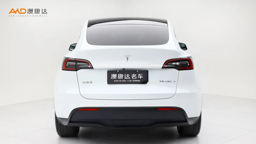 二手特斯拉Model Y 长续航全轮驱动版图片3839567