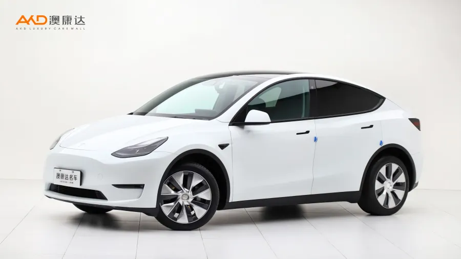 二手特斯拉Model Y 长续航全轮驱动版图片