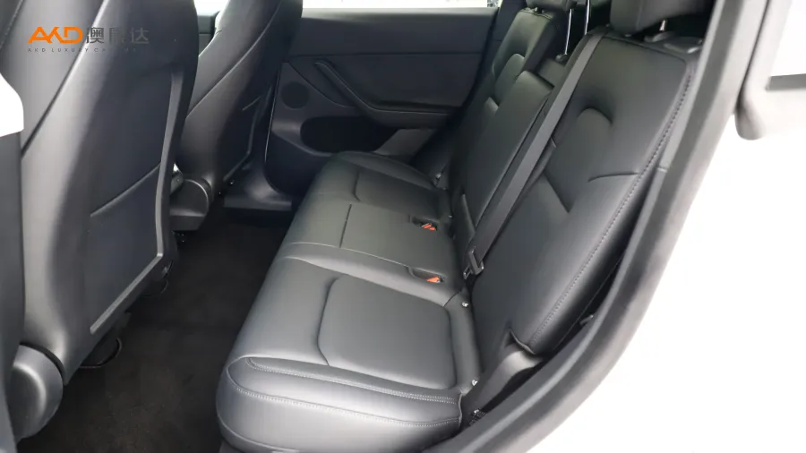 二手特斯拉Model Y 长续航全轮驱动版图片3839576