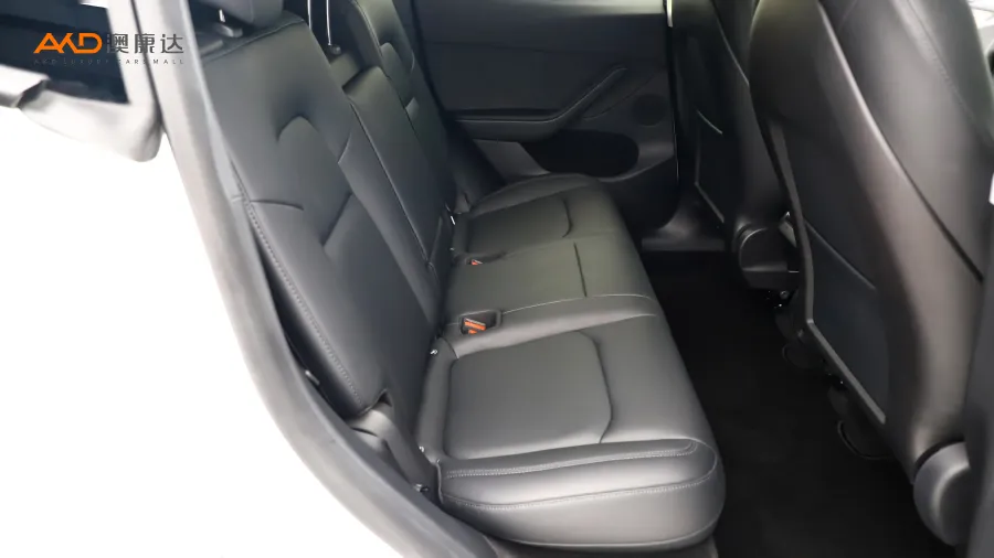 二手特斯拉Model Y 长续航全轮驱动版图片3839582