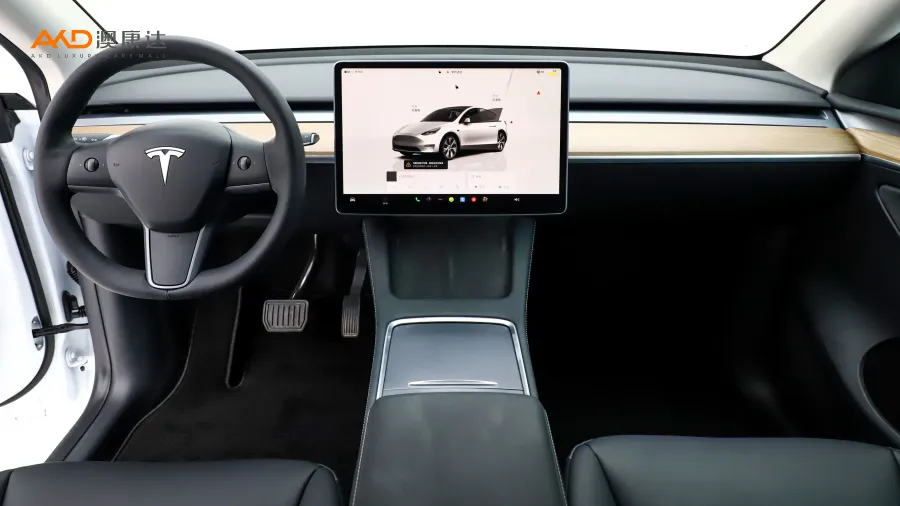 二手特斯拉Model Y 长续航全轮驱动版图片3839578
