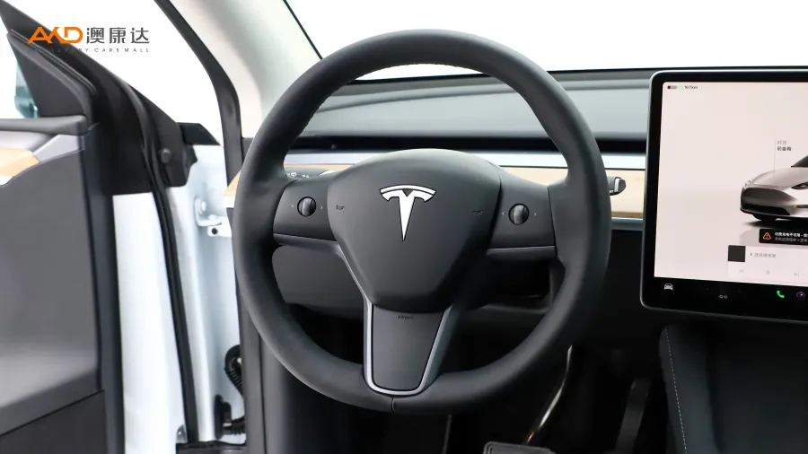 二手特斯拉Model Y 长续航全轮驱动版图片3839579