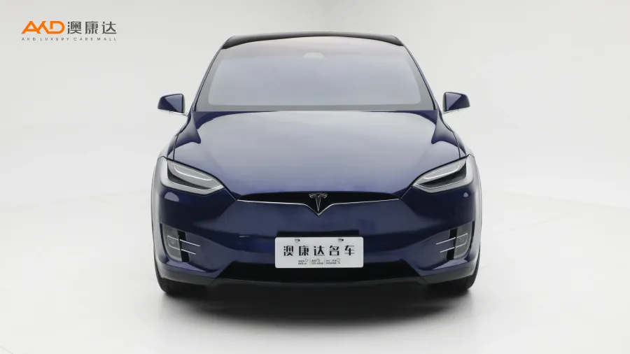 二手特斯拉Model X 100D 长续航版图片3842206