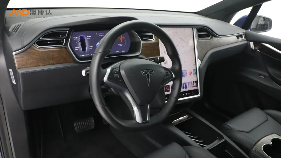 二手特斯拉Model X 100D 长续航版图片3842214