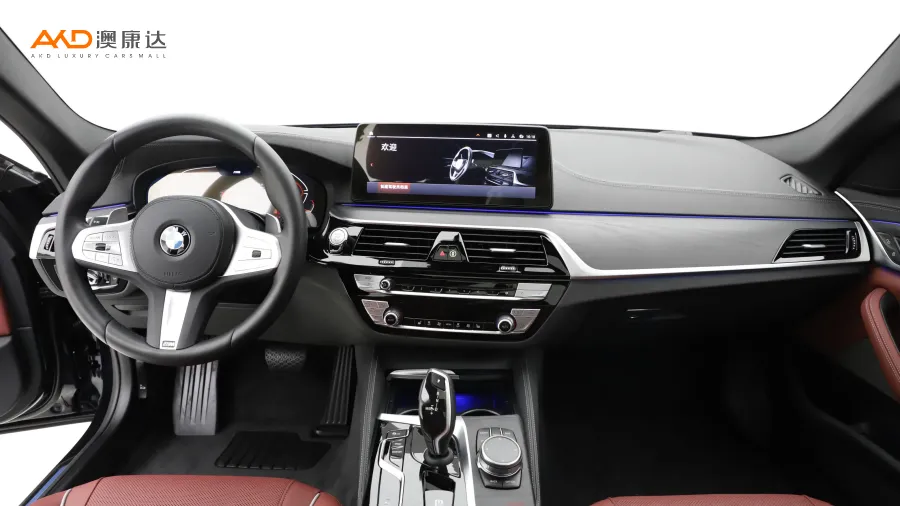 二手宝马530Li  领先型 M运动套装图片3842197