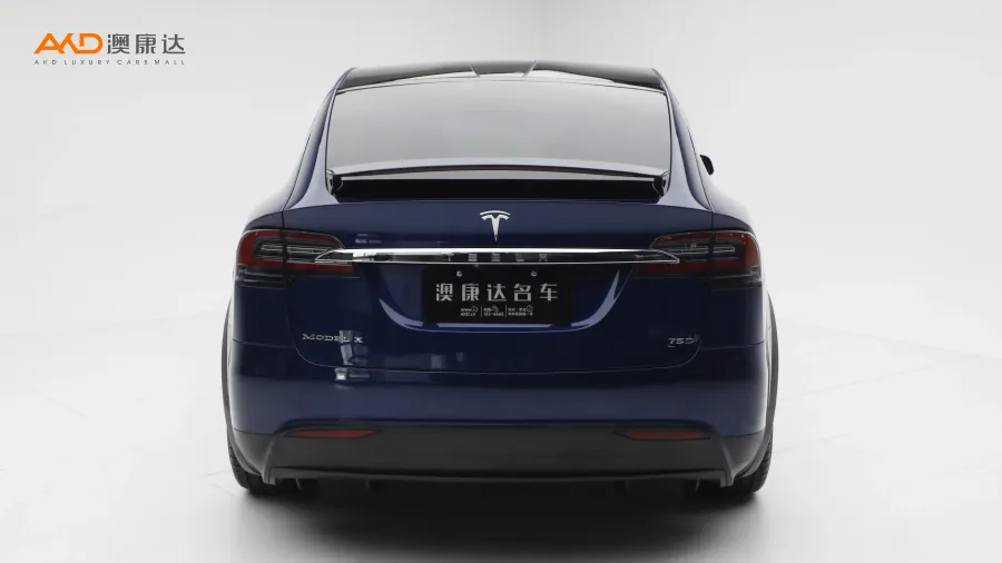 二手特斯拉Model X 75D图片3841874