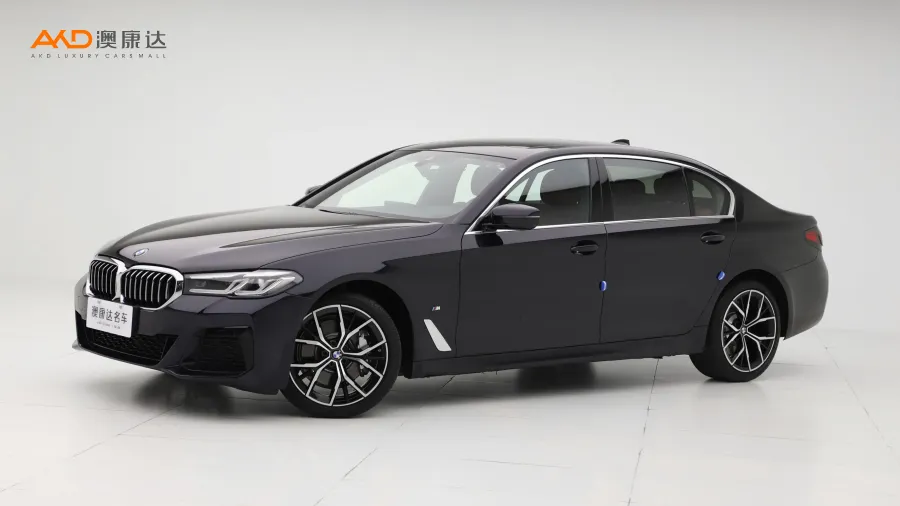 二手宝马530Li  领先型 M运动套装图片