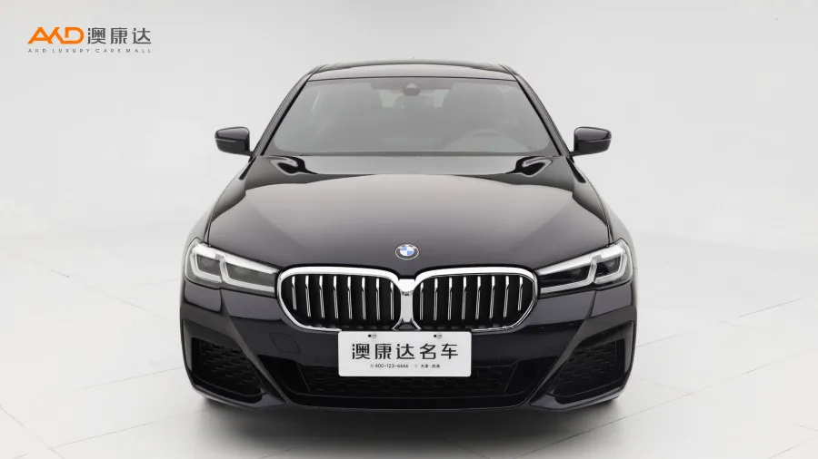 二手宝马530Li  领先型 M运动套装图片3842181