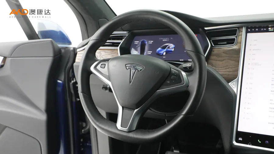 二手特斯拉Model X 100D 长续航版图片3842222