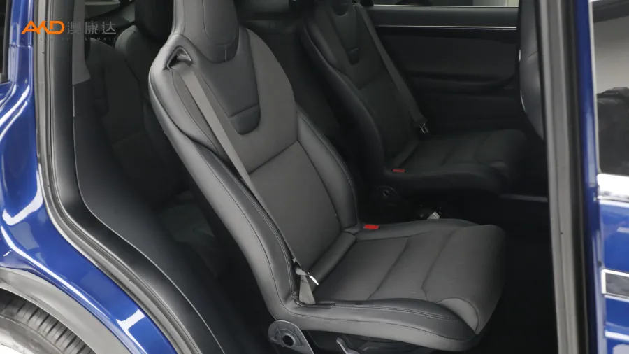 二手特斯拉Model X 75D图片3841889