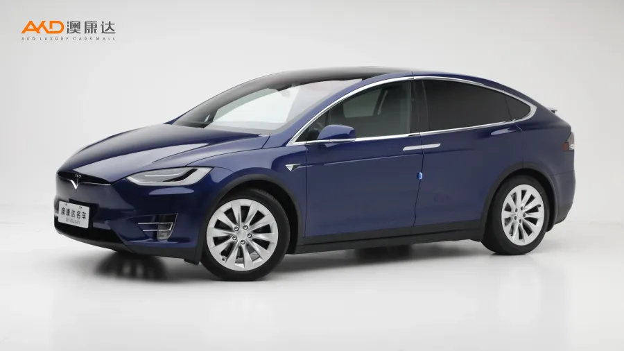 二手特斯拉Model X 75D图片