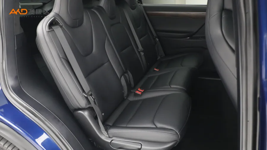 二手特斯拉Model X 100D 长续航版图片3842225