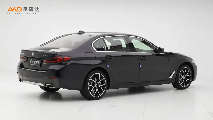 二手宝马530Li  领先型 M运动套装图片3842185