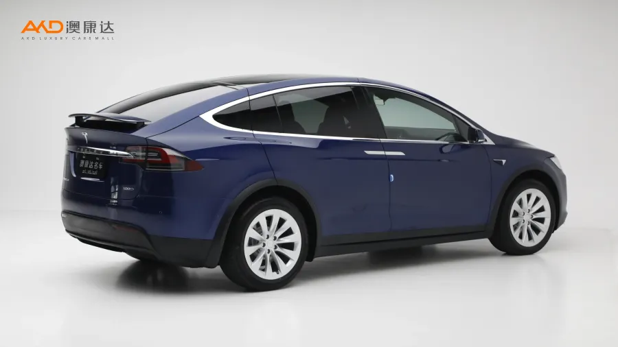 二手特斯拉Model X 100D 长续航版图片3842209