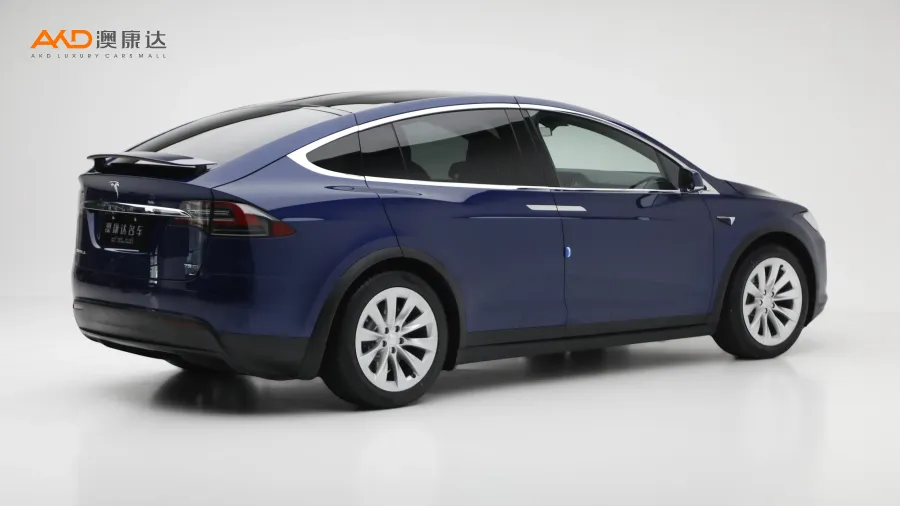 二手特斯拉Model X 75D图片3841872