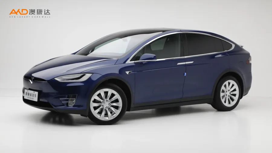 二手特斯拉Model X 100D 长续航版图片