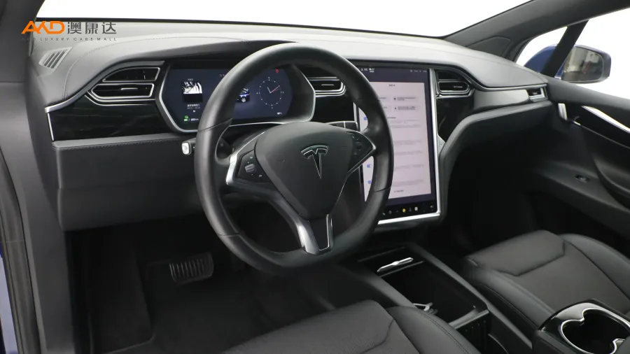 二手特斯拉Model X 75D图片3841877