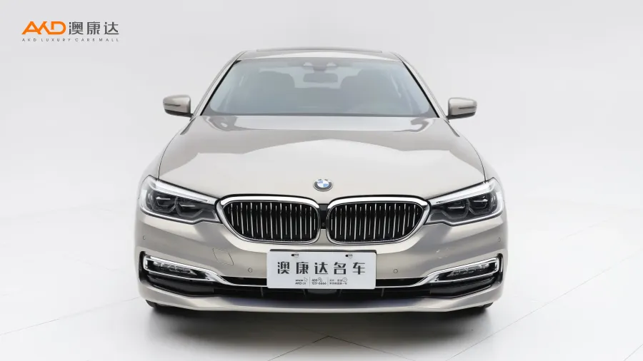 二手宝马530Li 改款 尊享型 豪华套装图片3842373