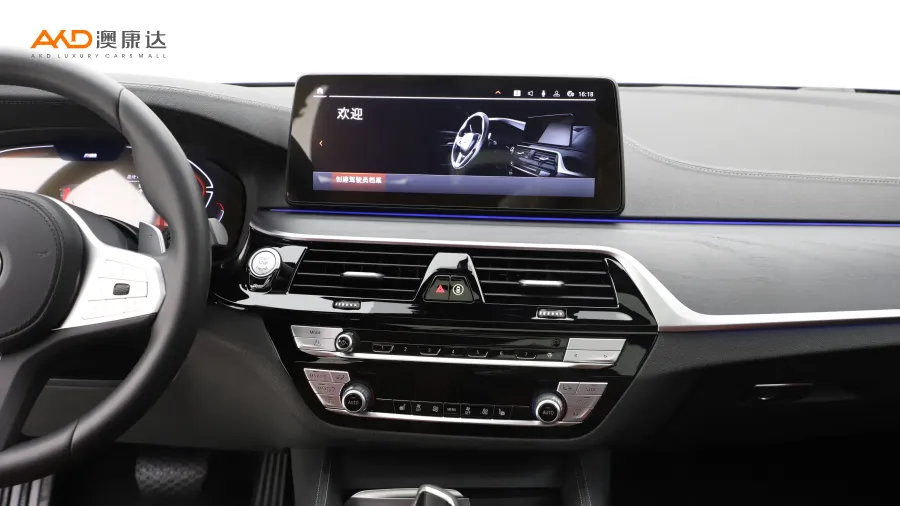 二手宝马530Li  领先型 M运动套装图片3842199