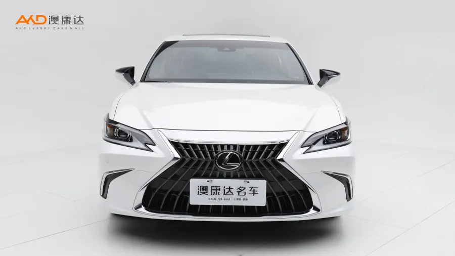二手雷克萨斯ES200  臻享版图片3842459