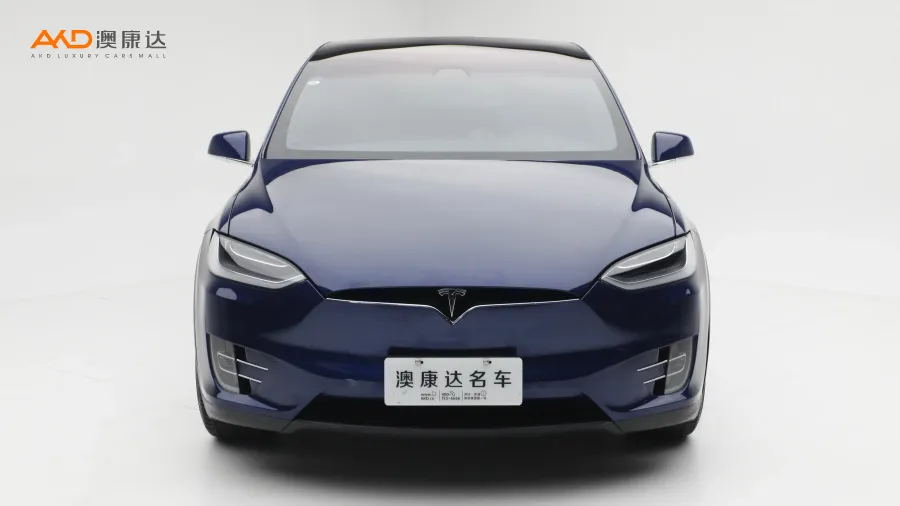 二手特斯拉Model X 75D图片3841869