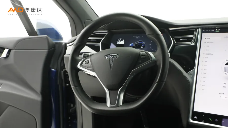 二手特斯拉Model X 75D图片3841886