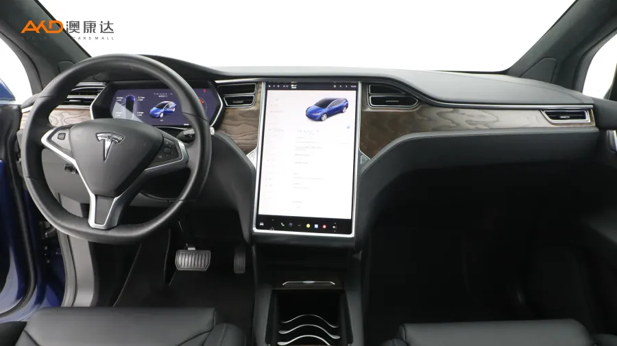 二手特斯拉Model X 100D 长续航版图片3842221