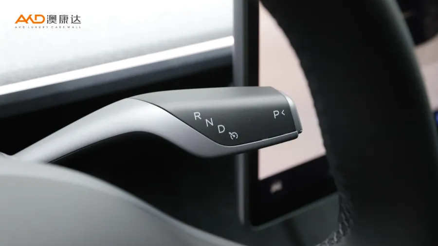 二手特斯拉Model Y 长续航全轮驱动版图片3843710