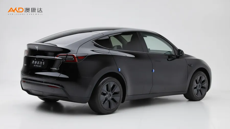 二手特斯拉Model Y 长续航全轮驱动版图片3843704
