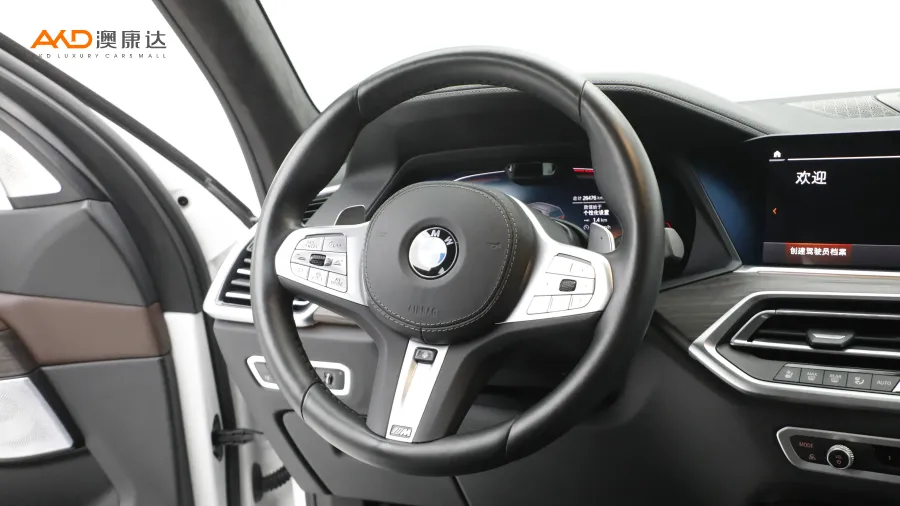 二手宝马X5 改款 XDrive40Li尊享型M运动套装图片3843574