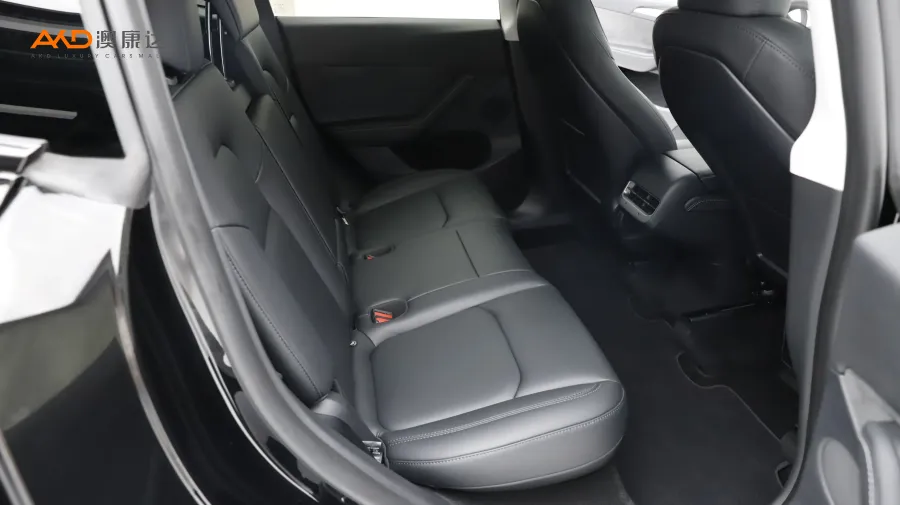 二手特斯拉Model Y 长续航全轮驱动版图片3843721