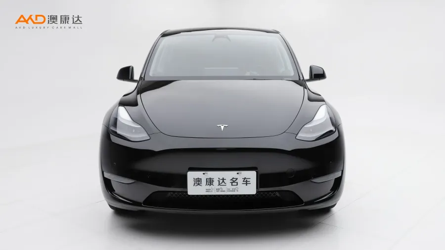二手特斯拉Model Y 长续航全轮驱动版图片3843700