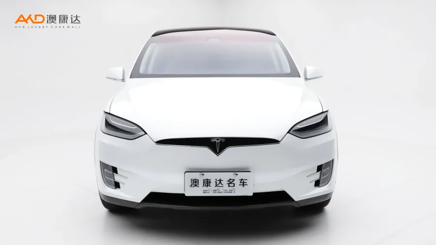 二手特斯拉Model X100D图片3846538