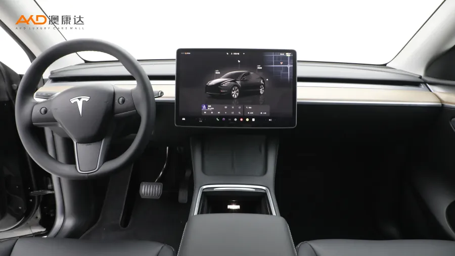 二手特斯拉Model Y 改款 后轮驱动版图片3846348