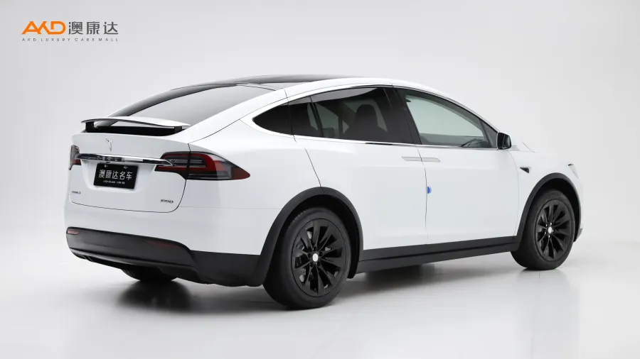 二手特斯拉Model X100D图片3846542