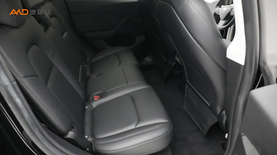 二手特斯拉Model Y 改款 后轮驱动版图片3846352