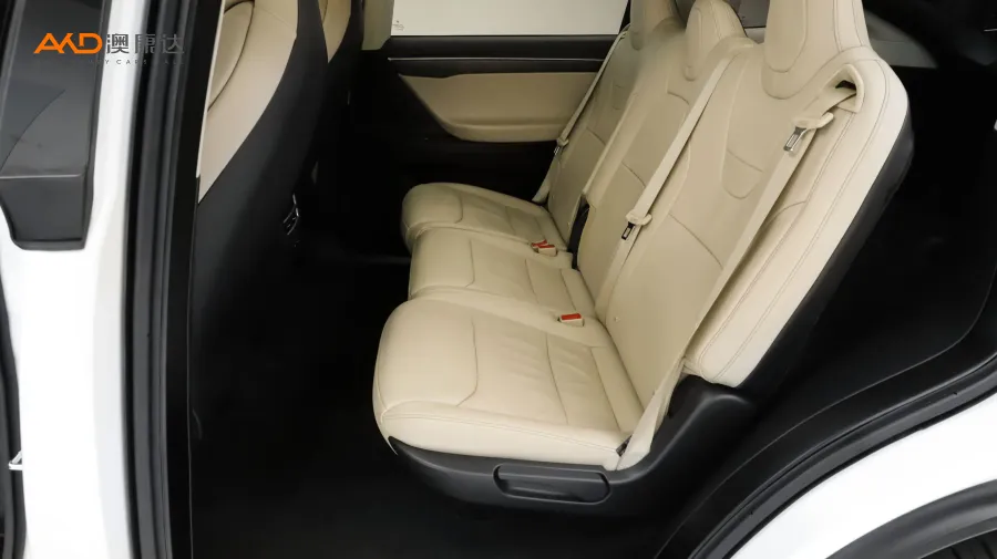 二手特斯拉Model X100D图片3846553