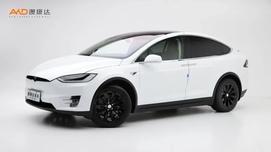 二手特斯拉Model X100D图片