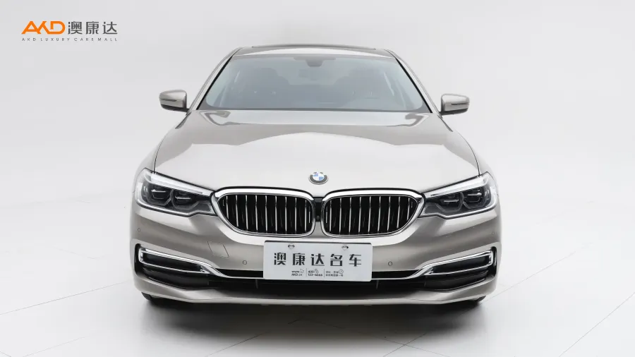 二手宝马530Li 行政型豪华套装图片3845641