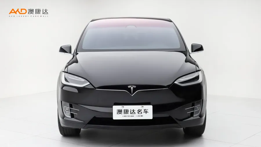 二手特斯拉Model X 75D图片3847247