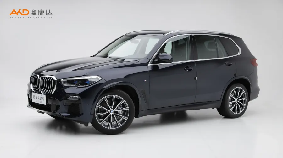 二手寶馬X5 xDrive40i M運(yùn)動(dòng)套裝圖片