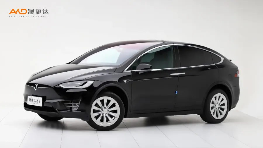 二手特斯拉Model X 75D图片