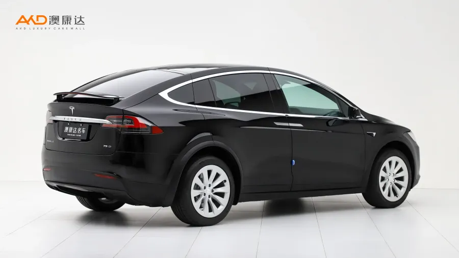 二手特斯拉Model X 75D图片3847251