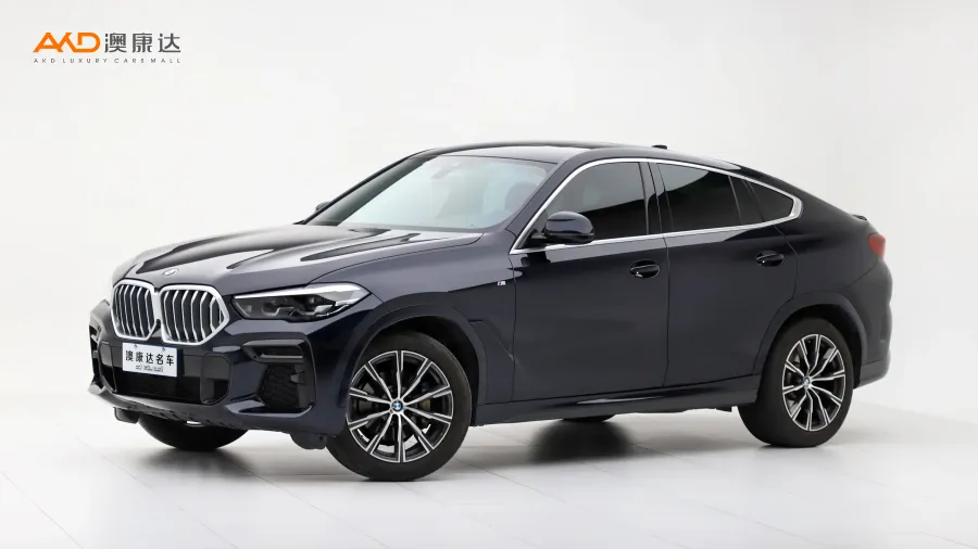 二手宝马X6 xDrive30i M运动套装图片