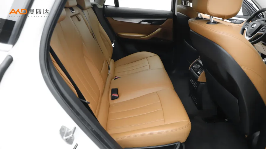 二手宝马X6 xDrive35i 中东版图片3848240