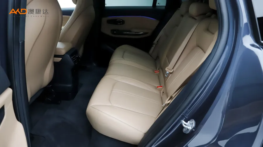 二手蔚來ES6 610KM 性能版圖片3849333